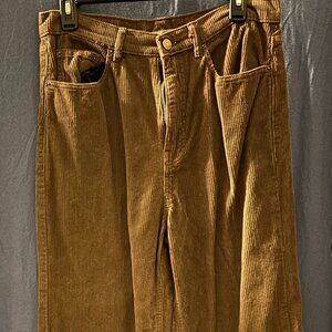 Urban Outfitter BDG Corduroys